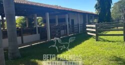 Fazenda à Venda 2.000 Hectares Pecuária Toda Infraestrutura | Pirapora/MG