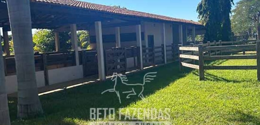 Fazenda à Venda 2.000 Hectares Pecuária Toda Infraestrutura | Pirapora/MG