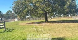 Fazenda à Venda 2.000 Hectares Pecuária Toda Infraestrutura | Pirapora/MG