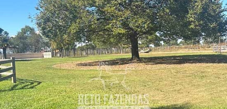 Fazenda à Venda 2.000 Hectares Pecuária Toda Infraestrutura | Pirapora/MG