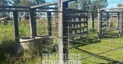 Fazenda à Venda 2.000 Hectares Pecuária Toda Infraestrutura | Pirapora/MG