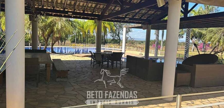 Fazenda à Venda 2.000 Hectares Pecuária Toda Infraestrutura | Pirapora/MG