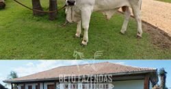 Fazenda à Venda 2.000 Hectares Pecuária Toda Infraestrutura | Pirapora/MG