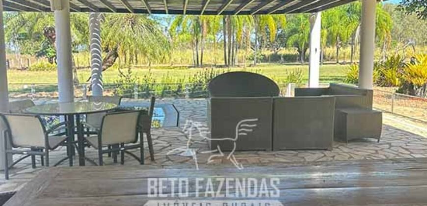 Fazenda à Venda 2.000 Hectares Pecuária Toda Infraestrutura | Pirapora/MG