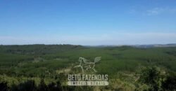 Fazenda à Venda 3.199 Hectares Florestal e Pecuária | Rio Grande do Sul