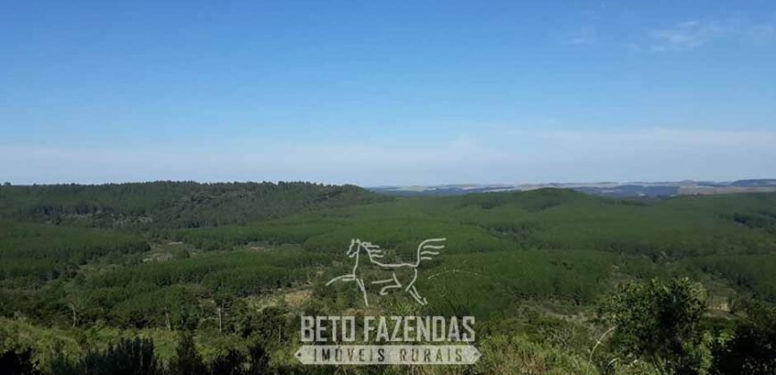 Fazenda à Venda 3.199 Hectares Florestal e Pecuária | Rio Grande do Sul