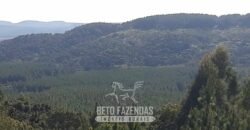 Fazenda à Venda 3.199 Hectares Florestal e Pecuária | Rio Grande do Sul