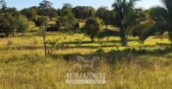 Fazenda à Venda 3.199 Hectares Florestal e Pecuária | Rio Grande do Sul