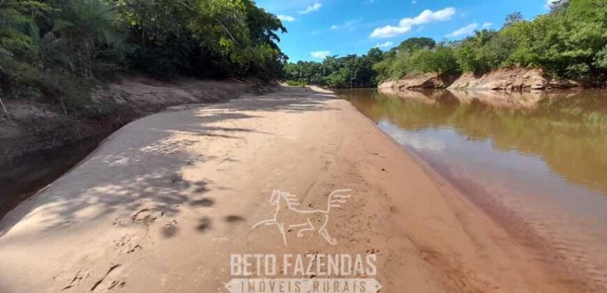 Fazenda à Venda 3.199 Hectares Florestal e Pecuária | Rio Grande do Sul