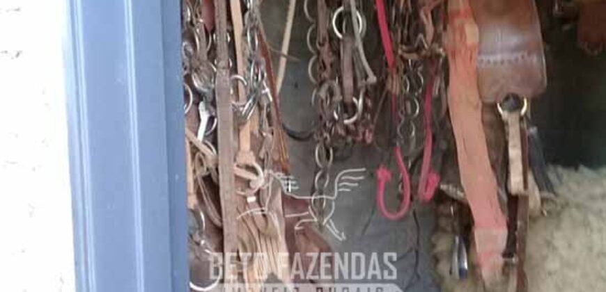 Fazenda à Venda 3.199 Hectares Florestal e Pecuária | Rio Grande do Sul