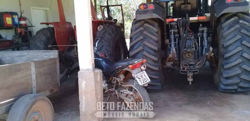 Fazenda à Venda 3.199 Hectares Florestal e Pecuária | Rio Grande do Sul