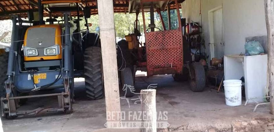 Fazenda à Venda 3.199 Hectares Florestal e Pecuária | Rio Grande do Sul