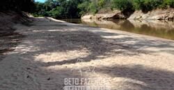 Fazenda à Venda 3.199 Hectares Florestal e Pecuária | Rio Grande do Sul