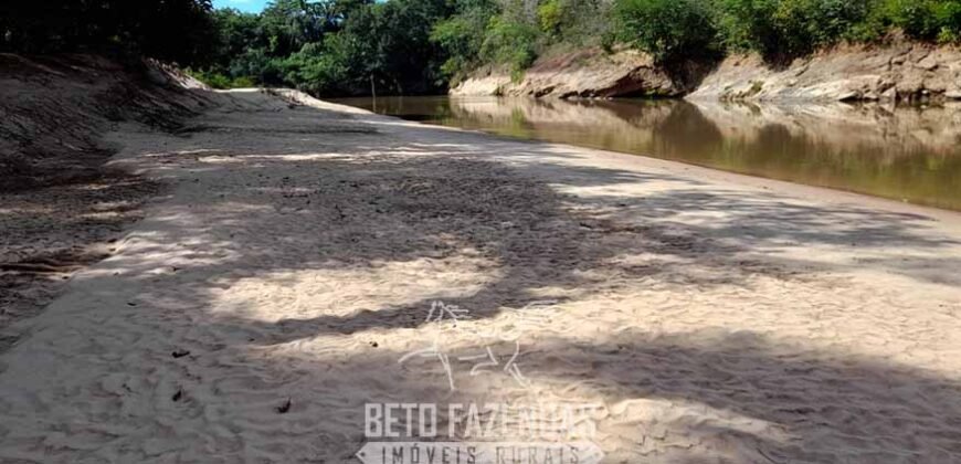 Fazenda à Venda 3.199 Hectares Florestal e Pecuária | Rio Grande do Sul