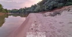 Fazenda à Venda 3.199 Hectares Florestal e Pecuária | Rio Grande do Sul