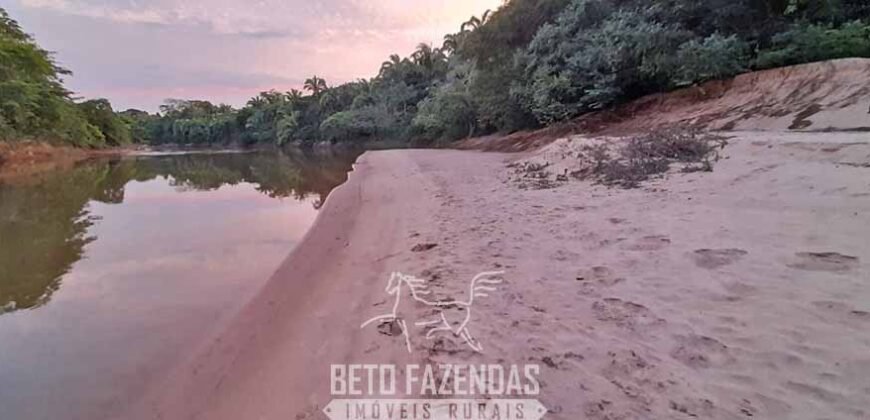 Fazenda à Venda 3.199 Hectares Florestal e Pecuária | Rio Grande do Sul