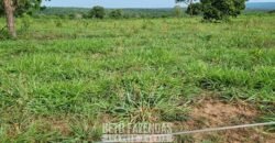 Fazenda à Venda 3.199 Hectares Florestal e Pecuária | Rio Grande do Sul