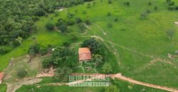 Fazenda à Venda 3.199 Hectares Florestal e Pecuária | Rio Grande do Sul
