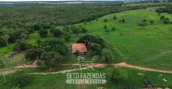 Fazenda à Venda 3.199 Hectares Florestal e Pecuária | Rio Grande do Sul