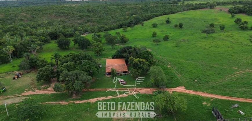 Fazenda à Venda 3.199 Hectares Florestal e Pecuária | Rio Grande do Sul