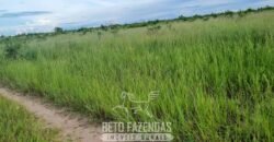 Fazenda à Venda 3.199 Hectares Florestal e Pecuária | Rio Grande do Sul