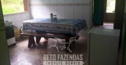 Sítio à Venda 23.000 m² 100% por Estrada Asfaltada e Cimentada em Glicério | Macaé/RJ