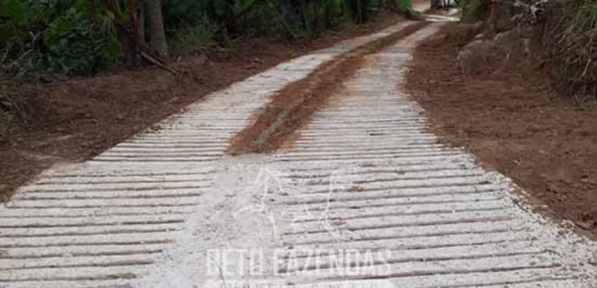 Sítio à Venda 23.000 m² 100% por Estrada Asfaltada e Cimentada em Glicério | Macaé/RJ