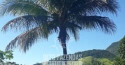 Sítio à Venda 23.000 m² 100% por Estrada Asfaltada e Cimentada em Glicério | Macaé/RJ