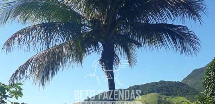 Sítio à Venda 23.000 m² 100% por Estrada Asfaltada e Cimentada em Glicério | Macaé/RJ