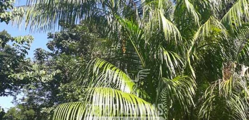 Sítio à Venda 23.000 m² 100% por Estrada Asfaltada e Cimentada em Glicério | Macaé/RJ