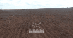 Fazenda à Venda 22.560 Hectares Pronta para Produção de Grão | Bonito de Minas /MG Fazenda à Venda 22.560 Hectares Pronta para Produção de Grão | Bonito de Minas /MG