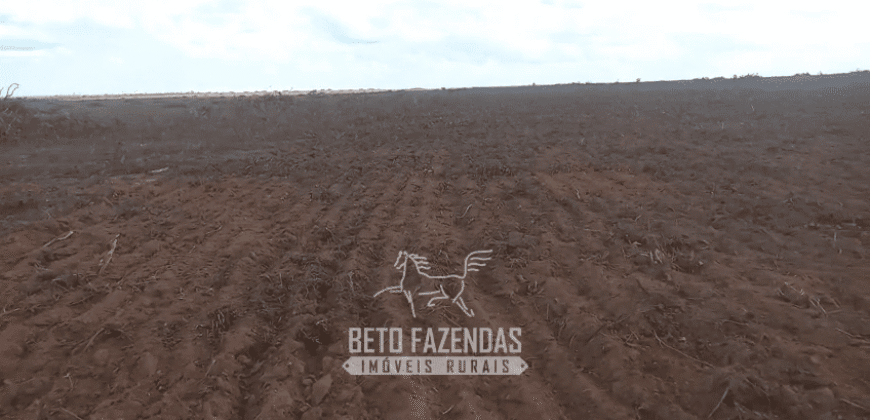Fazenda à Venda 22.560 Hectares Pronta para Produção de Grão | Bonito de Minas /MG Fazenda à Venda 22.560 Hectares Pronta para Produção de Grão | Bonito de Minas /MG