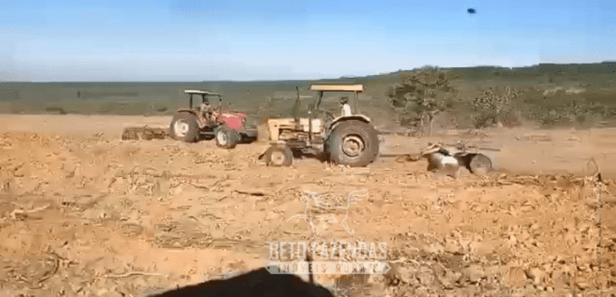 Fazenda à Venda 1.911 Hectares Aptidão para Plantio de Soja Porteira Fechada | Buritizeiro/MG