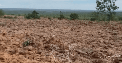 Fazenda à Venda 1.911 Hectares Aptidão para Plantio de Soja Porteira Fechada | Buritizeiro/MG
