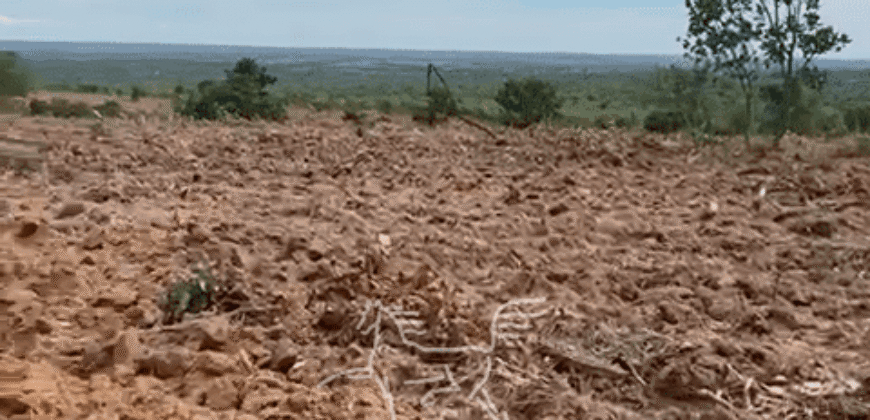 Fazenda à Venda 1.911 Hectares Aptidão para Plantio de Soja Porteira Fechada | Buritizeiro/MG