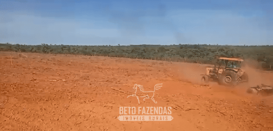 Fazenda à Venda 1.911 Hectares Aptidão para Plantio de Soja Porteira Fechada | Buritizeiro/MG