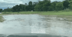 Fazenda à Venda 1.911 Hectares Aptidão para Plantio de Soja Porteira Fechada | Buritizeiro/MG