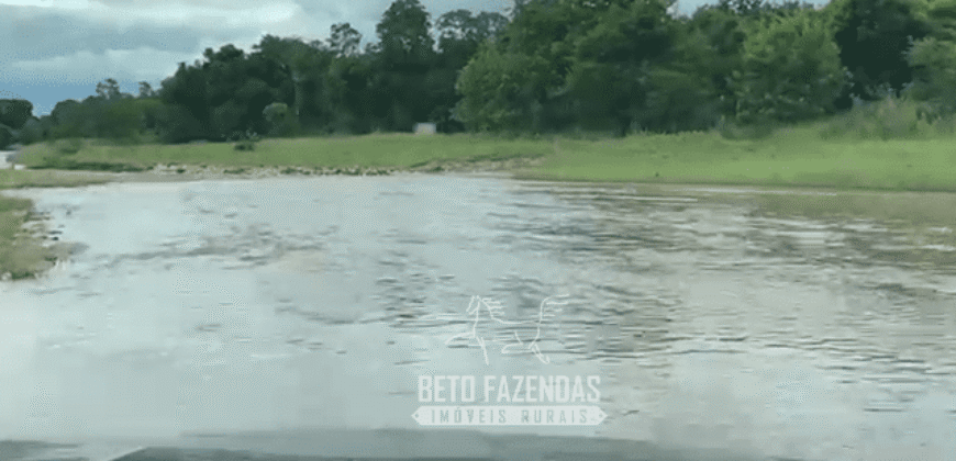 Fazenda à Venda 1.911 Hectares Aptidão para Plantio de Soja Porteira Fechada | Buritizeiro/MG