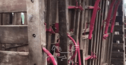 Fazenda à Venda 1.911 Hectares Aptidão para Plantio de Soja Porteira Fechada | Buritizeiro/MG