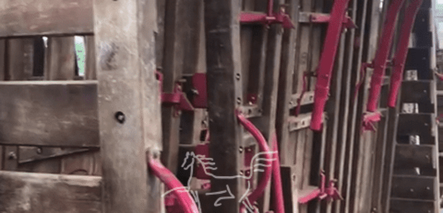 Fazenda à Venda 1.911 Hectares Aptidão para Plantio de Soja Porteira Fechada | Buritizeiro/MG