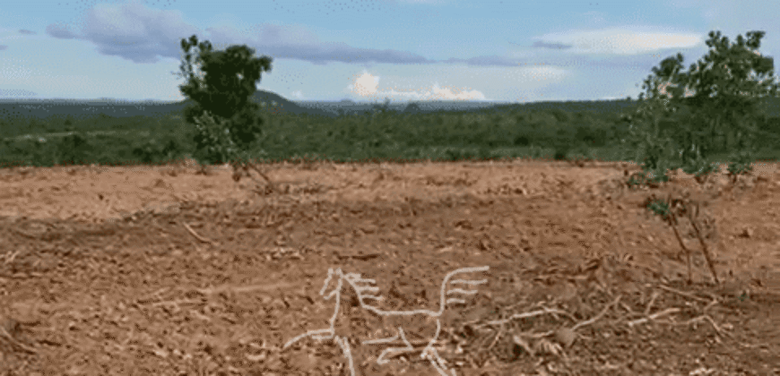 Fazenda à Venda 1.911 Hectares Aptidão para Plantio de Soja Porteira Fechada | Buritizeiro/MG