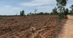 Fazenda à Venda 1.911 Hectares Aptidão para Plantio de Soja Porteira Fechada | Buritizeiro/MG