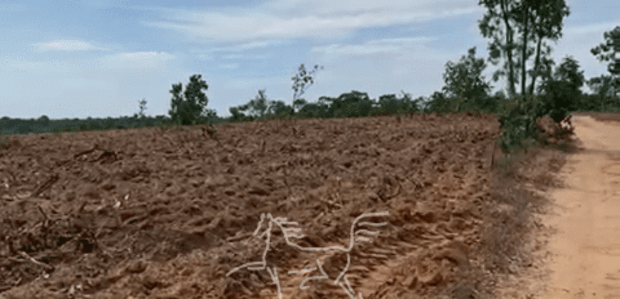 Fazenda à Venda 1.911 Hectares Aptidão para Plantio de Soja Porteira Fechada | Buritizeiro/MG