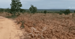 Fazenda à Venda 1.911 Hectares Aptidão para Plantio de Soja Porteira Fechada | Buritizeiro/MG
