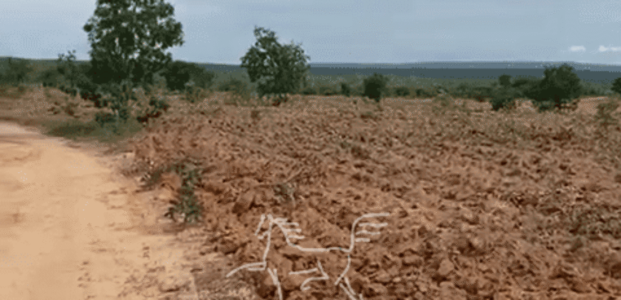Fazenda à Venda 1.911 Hectares Aptidão para Plantio de Soja Porteira Fechada | Buritizeiro/MG