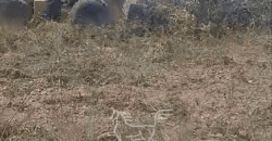 Fazenda à Venda 22.560 Hectares Pronta para Produção de Grão | Bonito de Minas /MG Fazenda à Venda 22.560 Hectares Pronta para Produção de Grão | Bonito de Minas /MG