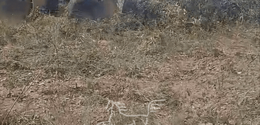 Fazenda à Venda 22.560 Hectares Pronta para Produção de Grão | Bonito de Minas /MG Fazenda à Venda 22.560 Hectares Pronta para Produção de Grão | Bonito de Minas /MG