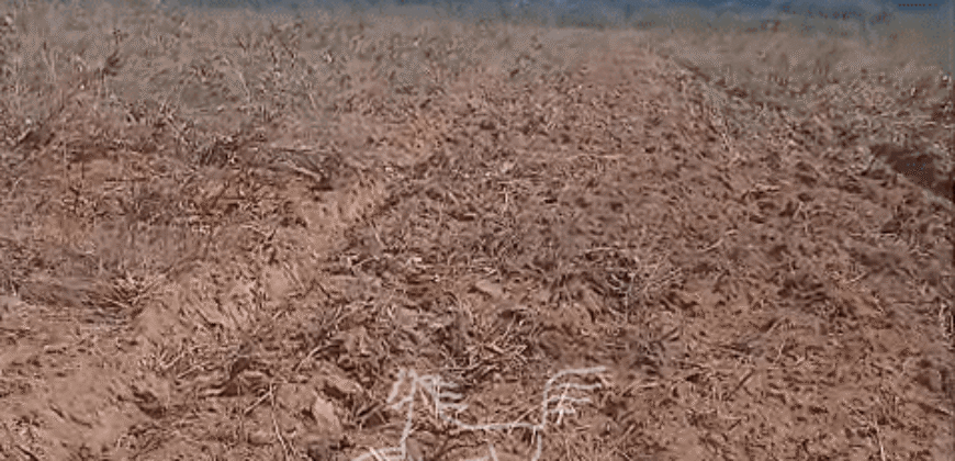 Fazenda à Venda 22.560 Hectares Pronta para Produção de Grão | Bonito de Minas /MG Fazenda à Venda 22.560 Hectares Pronta para Produção de Grão | Bonito de Minas /MG