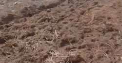 Fazenda à Venda 22.560 Hectares Pronta para Produção de Grão | Bonito de Minas /MG Fazenda à Venda 22.560 Hectares Pronta para Produção de Grão | Bonito de Minas /MG