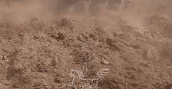 Fazenda à Venda 22.560 Hectares Pronta para Produção de Grão | Bonito de Minas /MG Fazenda à Venda 22.560 Hectares Pronta para Produção de Grão | Bonito de Minas /MG